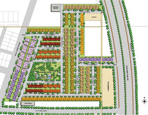 Site Plan Alder Grove Gurgaon