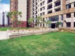 Construction Update Habitat Greater Noida