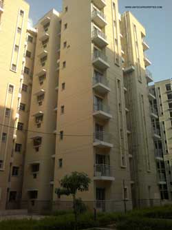 UNI Homes - Construction Update September 30, 2014