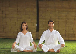 Features Vistas Residential Gurgaon